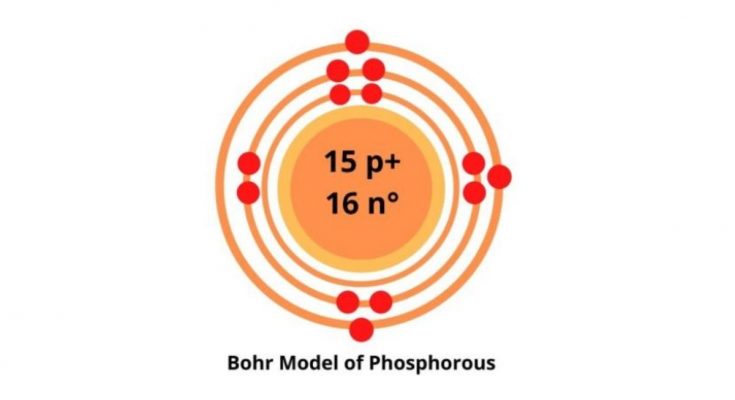 磷玻尔模型 图步骤绘制 技术科学家万博网页版 万博网页版 万博体育app手机版登录