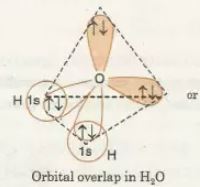 h2o杂交