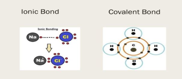 离子键和共价键